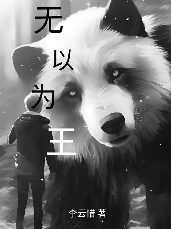 无以为表的意思