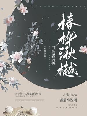 椿湫网络