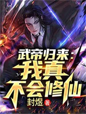 武帝归来陆玄完整版