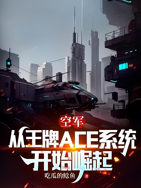 空军王牌ace小说