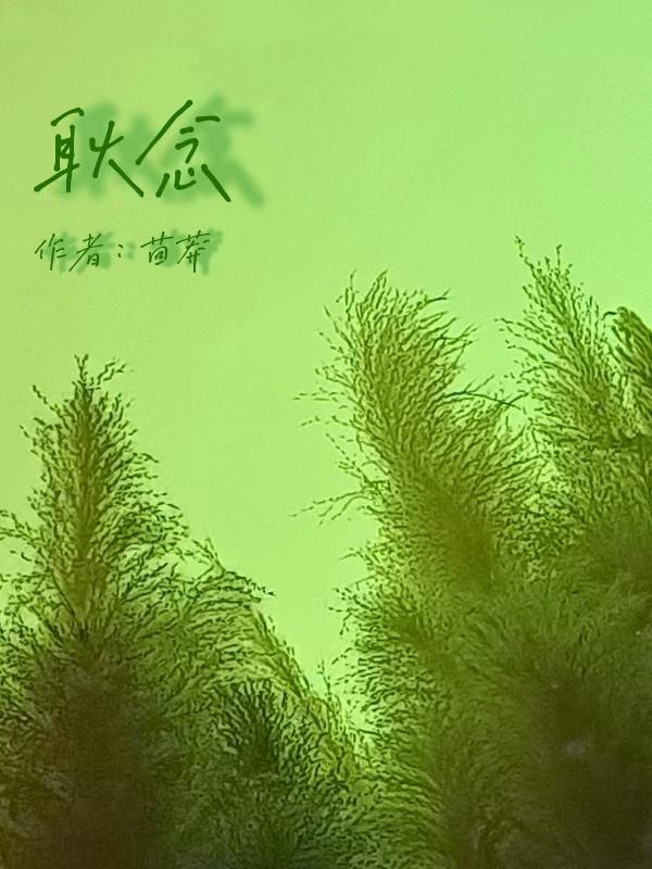 耿念一夏明睿