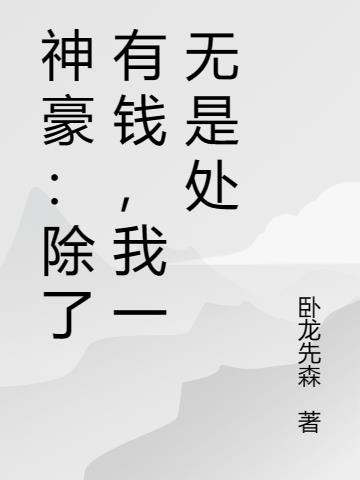 除了钱我一无是处小说