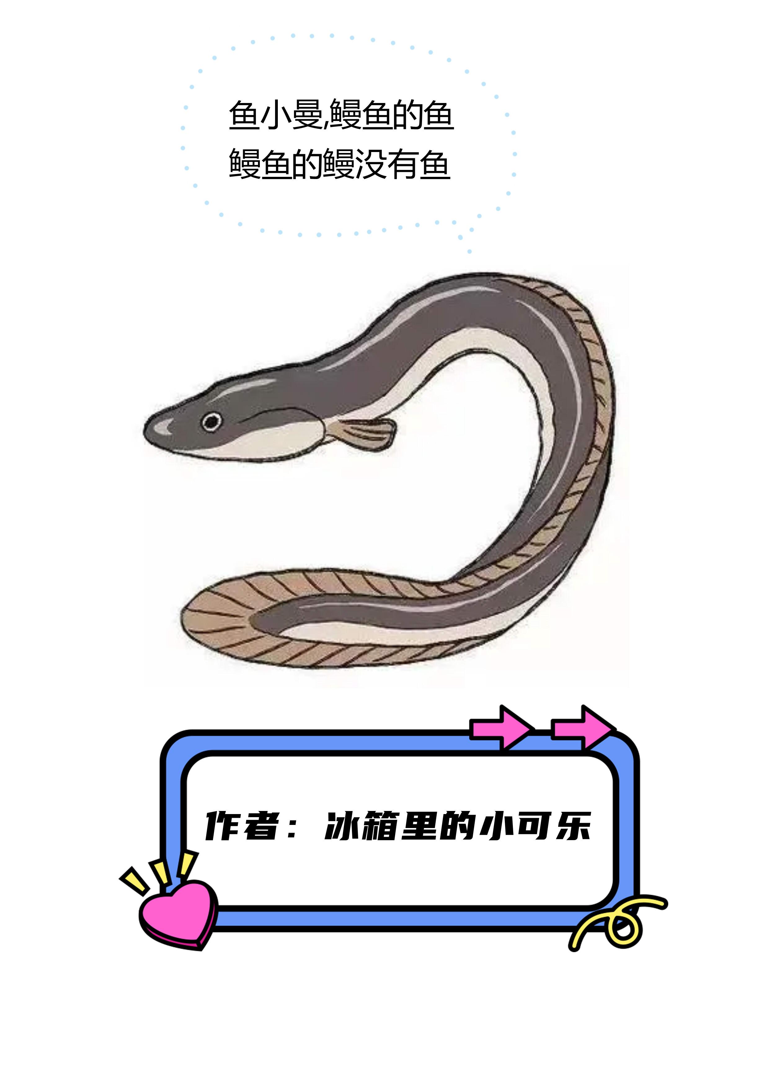 鳗鱼吃小鱼吗