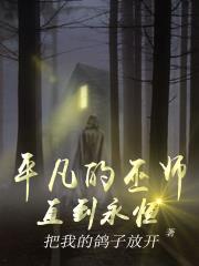 平凡魔术师的完结小说