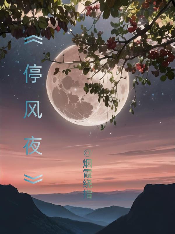 停风夜